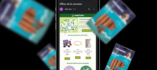Écran de smartphone affichant les offres de la semaine de Maxi Zoo avec nouveaux produits pour animaux et prix