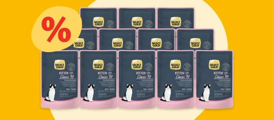 Select Gold Kitten Classic Fit kurczak pasztet karma dla kotów zestaw 12 sztuk z promocją