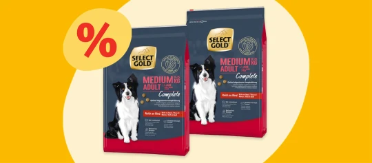 Dwa opakowania karmy Select Gold Medium Adult dla średnich psów, bogate w wołowinę, z obrazem psa Border Collie i symbolem rabatu.