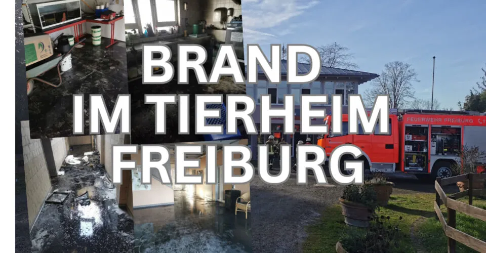 Feuerwehrauto vor dem Tierheim Freiburg und Brandschäden im Inneren des Tierheims nach dem Feuer