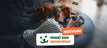 Femme détendue avec un chien et un chat sur un grand pouf, nouvelle assurance Maxi Zoo