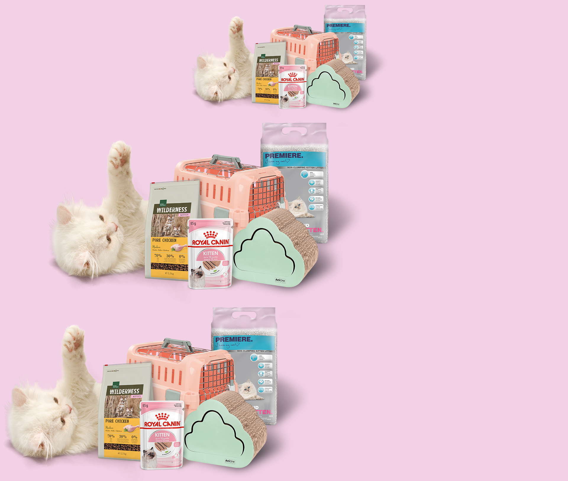 Chaton blanc avec nourriture pour chat, litière, griffoir et cage de transport rose sur fond rose