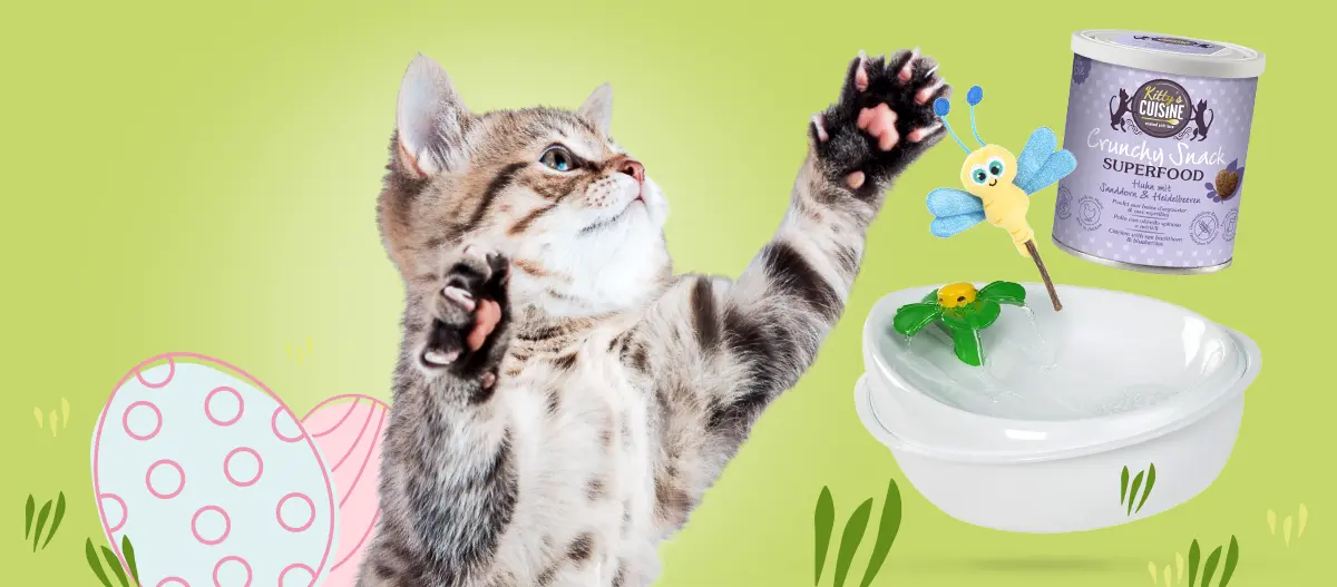 Verspielte getigerte Katze fängt Schmetterlingsspielzeug neben einem weißen Trinkbrunnen und einer Dose Kitty's Cuisine Crunchy Snack Superfood Katzenleckerlis vor grünem Hintergrund.