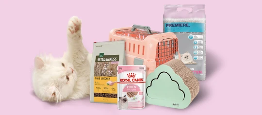 Biały puszysty kotek leży obok suchej karmy Wilderness Pure Chicken dla kociąt, mokrej karmy Royal Canin Kitten, różowej transportówki, żwirku Premiere dla kociąt i kartonowego drapaka w kształcie chmury na różowym tle.