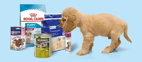 Szczeniak obok karmy Royal Canin Puppy Medium, podkładów treningowych AniOne, mokrej karmy Nature Wilderness Junior, szamponu dla szczeniąt i przysmaków Premiere Junior Snack na niebieskim tle