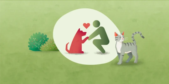 Illustration d'une personne tenant affectueusement la patte d'un chien avec un chat et un buisson en arrière-plan sur fond vert.