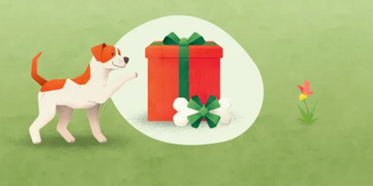 Verspielter Hund neben rotem Geschenk mit grünem Band und einem Knochen als Geschenk auf grünem Gras