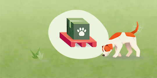 Illustration of a dog sniffing at a box on a pallet Ein Hund schnüffelt am Boden und denkt an eine grüne Box mit einem Pfotenabdruck auf einer roten Palette, symbolisiert Spürhund und Geruchserkennung.