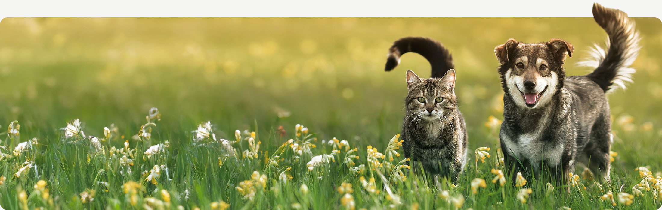 1281_DE_KW17_HZ04.1 Verlängerung_B_011100×350_Desktop