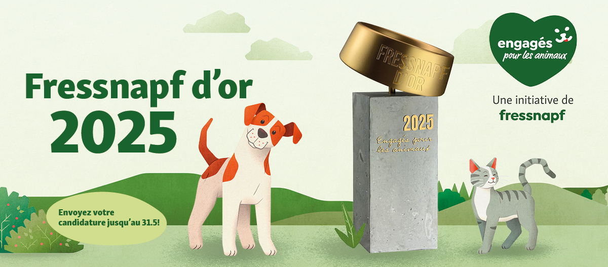 FRCH-D25004_Tierisch_engagiert_Award_2025_1200x527px2