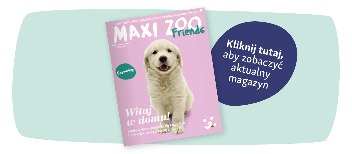 INT_25-01_Online_Teaser_PL