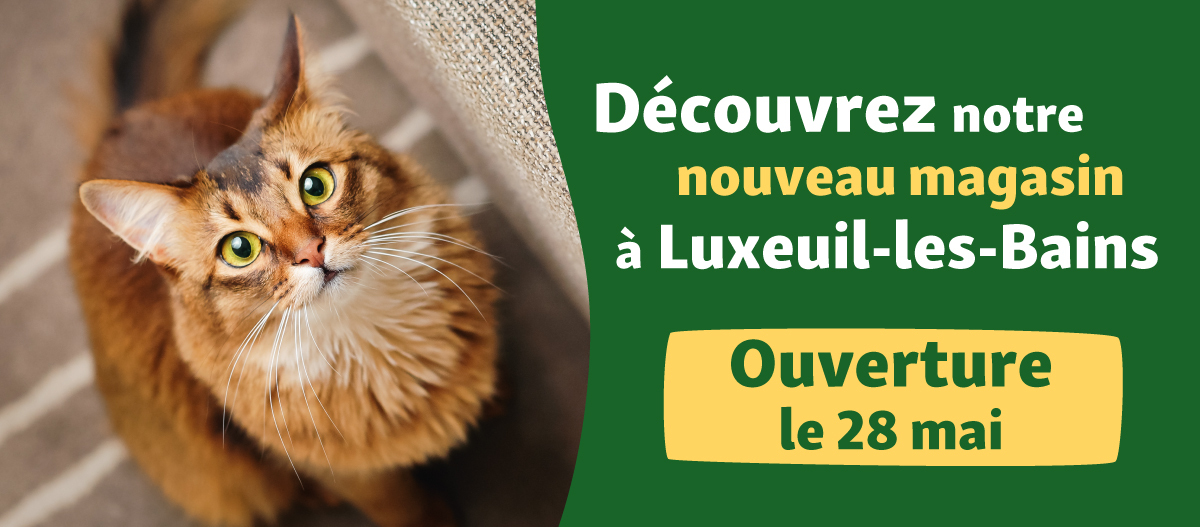 Banner-web-newsletter Opening banner FR Luxeuil-les-Bains