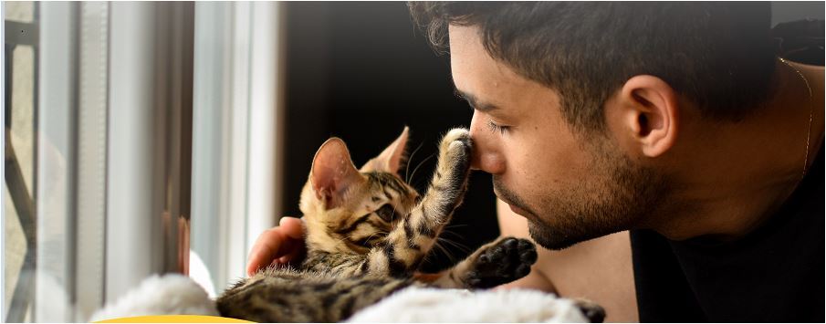 Landingpage Kitten Gewichtstabelle