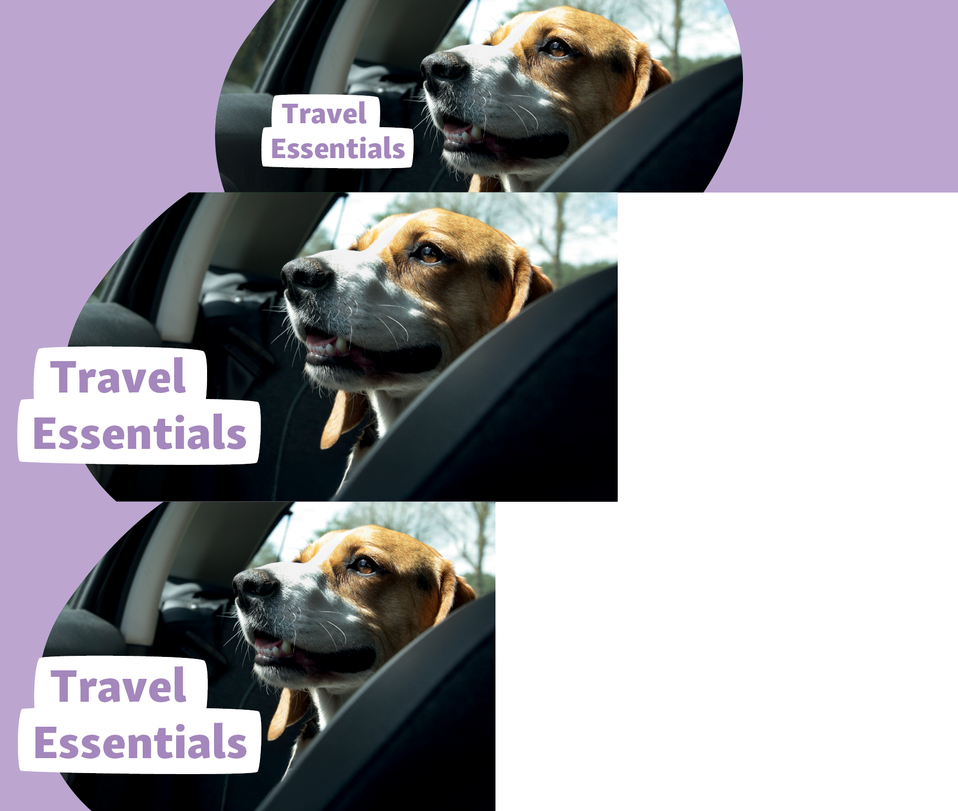 MZ_Apr25_WEB-Travel Essentials_OnsitePLPTeaser_1920x1626