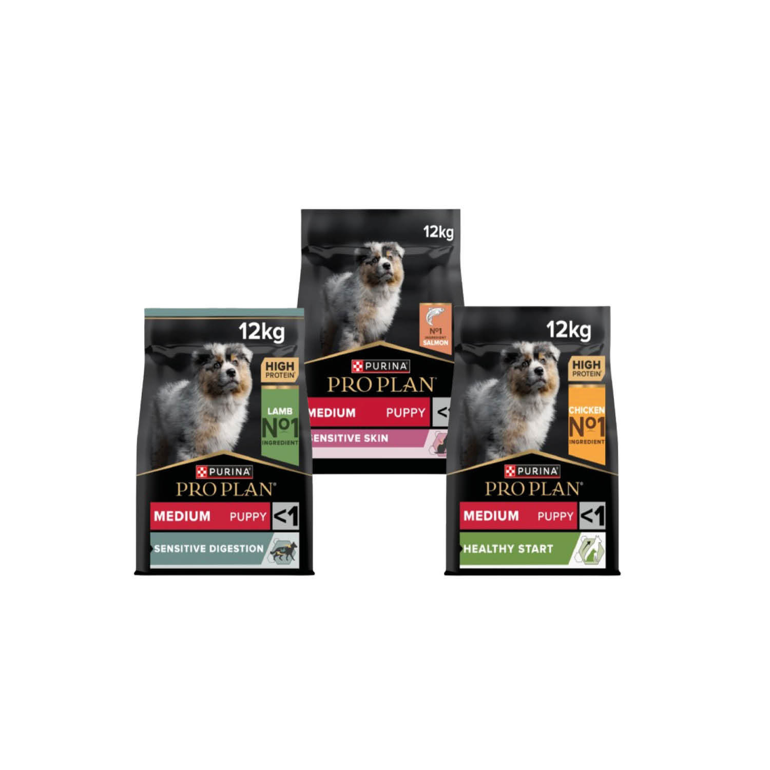 PROPLAN CHIOT