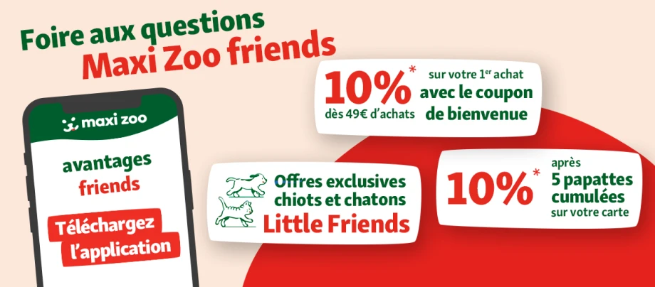 1200x527_MZ_AVANTAGE-FRIENDS