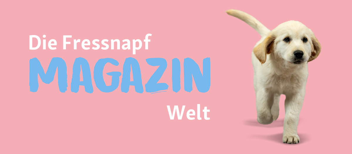 25-03_1200x527px