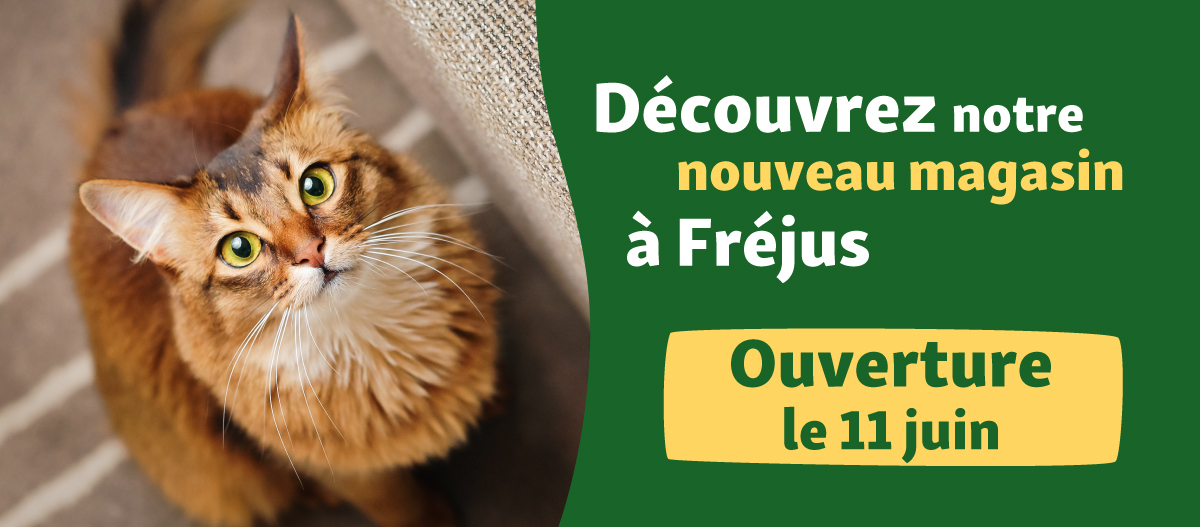Banner-web-newsletter-Frejus
