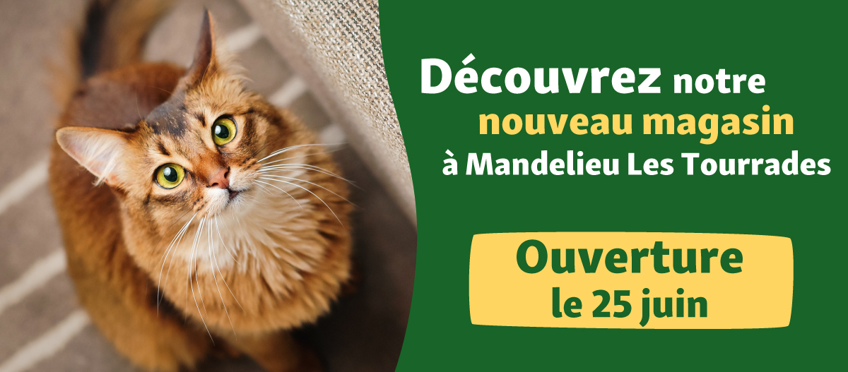 web-MandelieuLestourrades