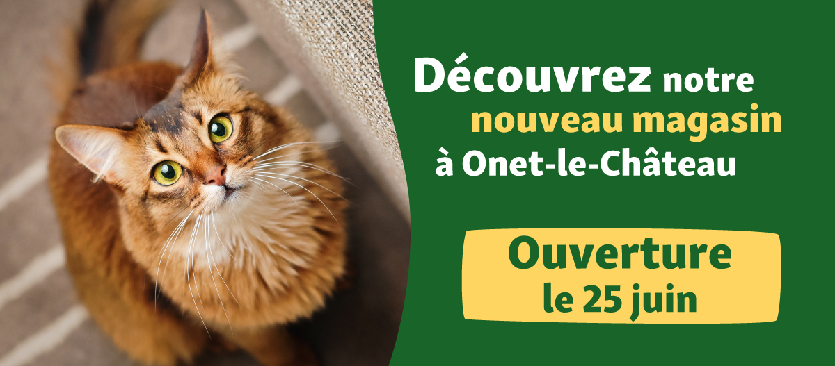 web-OnetleChateau