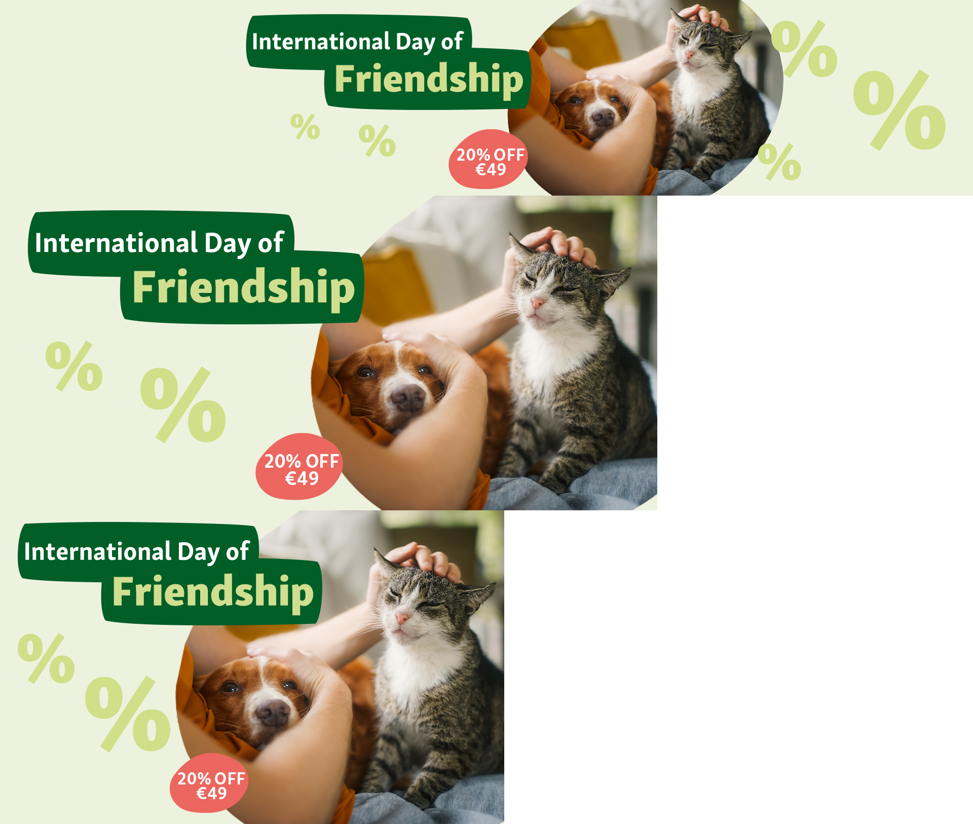 Int. Frind. Day - Responsive