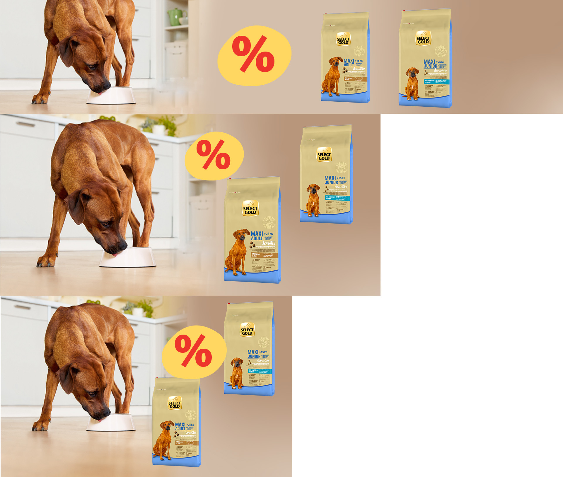 Responsive -SGDDF - Maxi Dogs