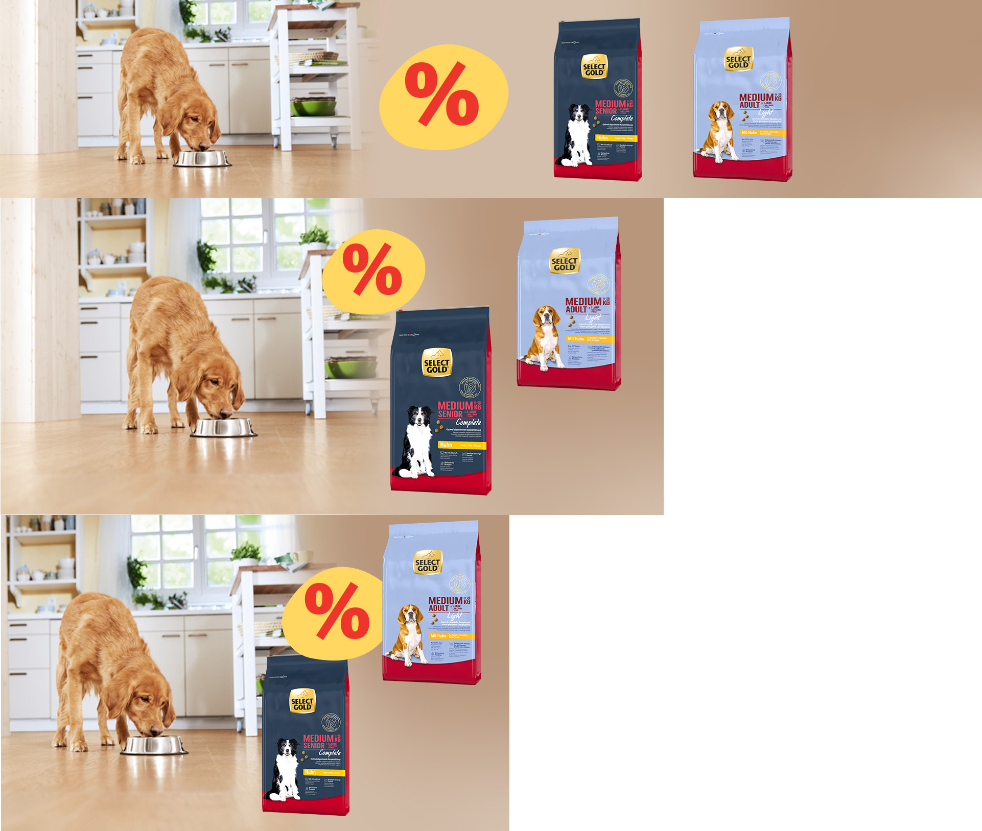 Responsive - SGDDF - Medium Dogs