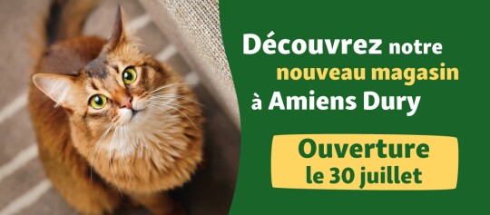 Banner Opening Amiens 30.07