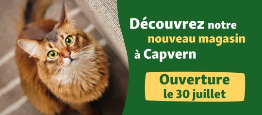 Banner Opening Capvern 30.07