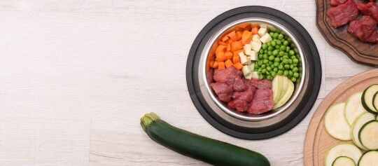 Ein Futternapf gefüllt mit Zucchini, Fleisch und anderem Gemüse