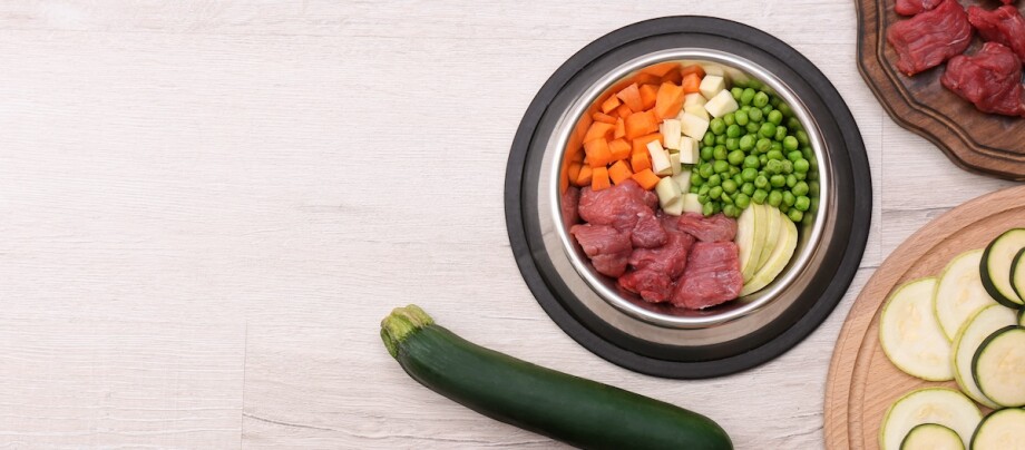 Ein Futternapf gefüllt mit Zucchini, Fleisch und anderem Gemüse