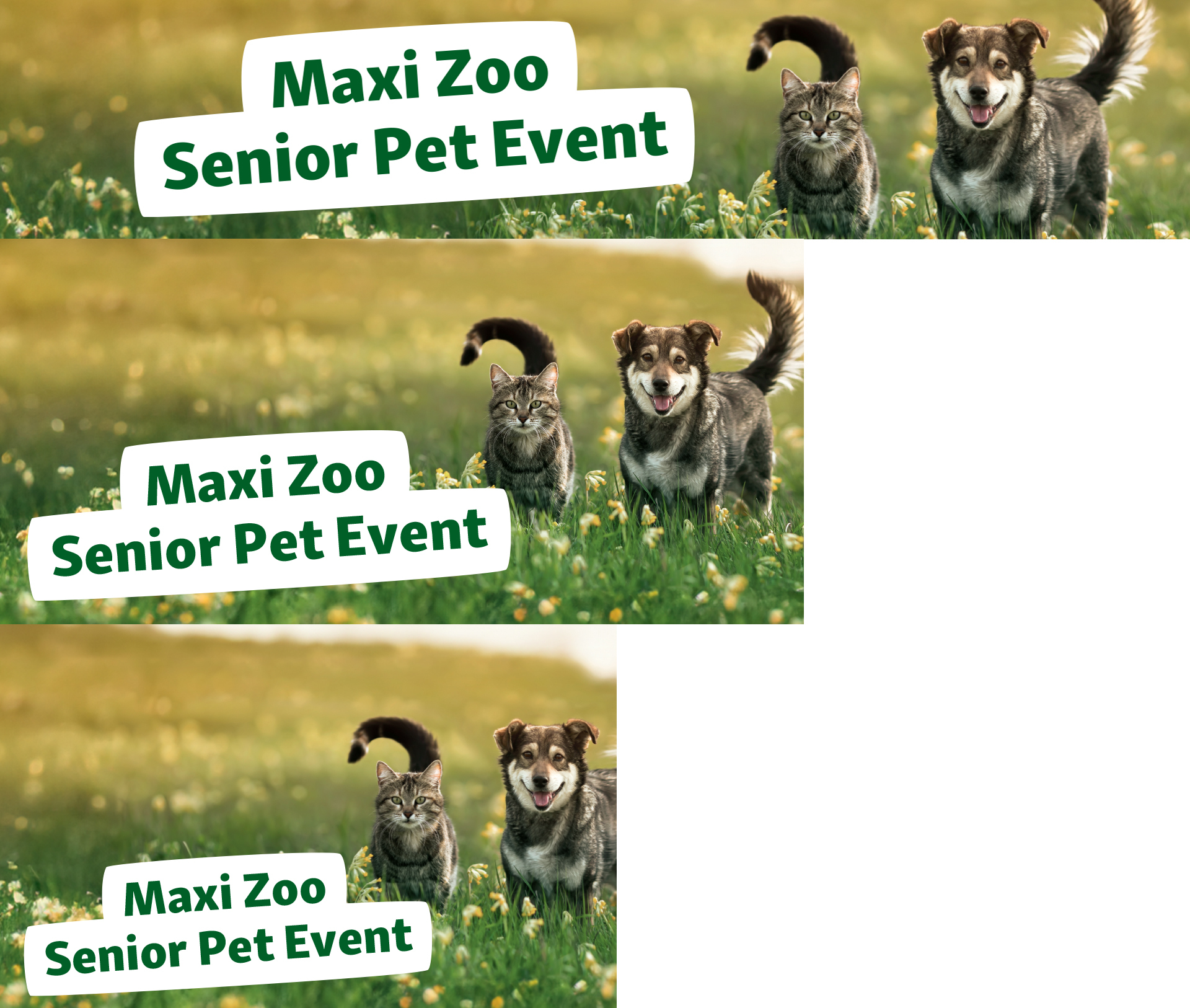 ie_senior-pet-event