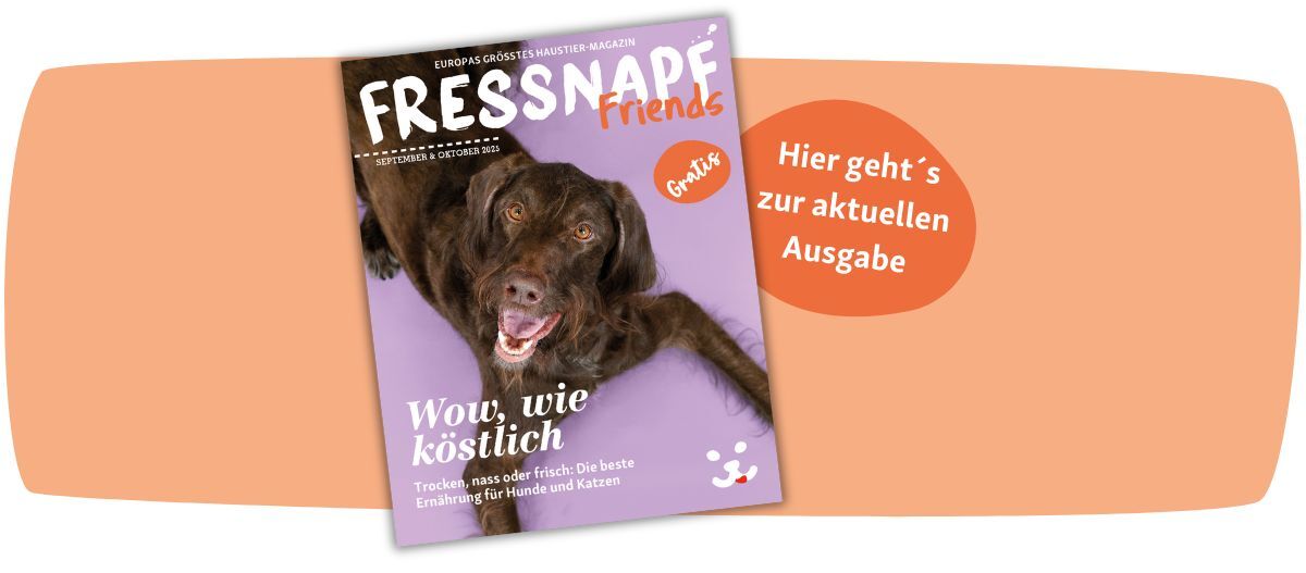 FN Friends0525_CH_ipaper (1200 x 527 px)