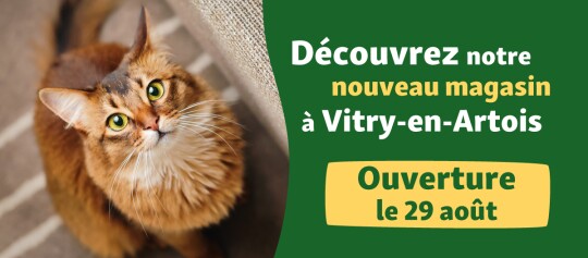 Banner Opening Vitry 29.08
