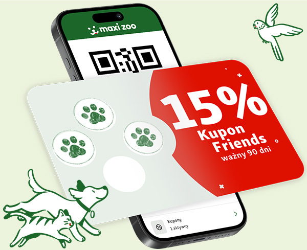 250829-MZoo-banner-www-LapkiFriends-600x489