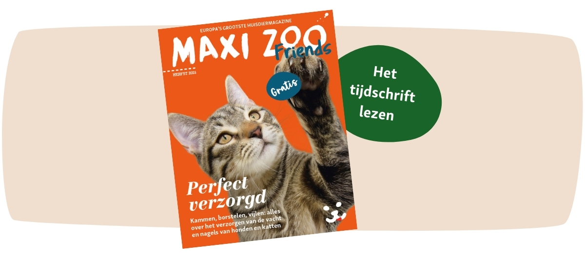 FN Friends0225_BENL_ipaper (1200 x 527 px)