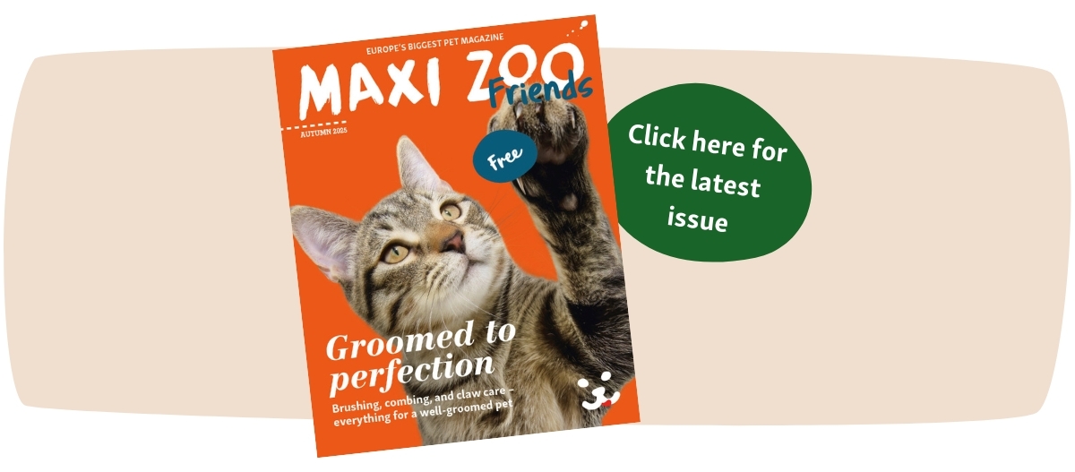 FN Friends0225_IE_ipaper (1200 x 527 px)