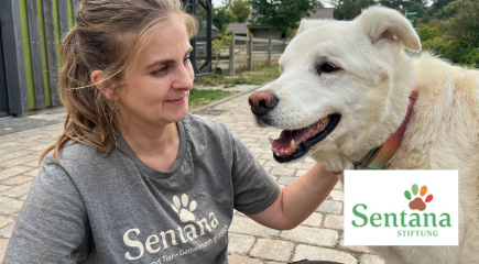Friends Spende Sentana Stiftung