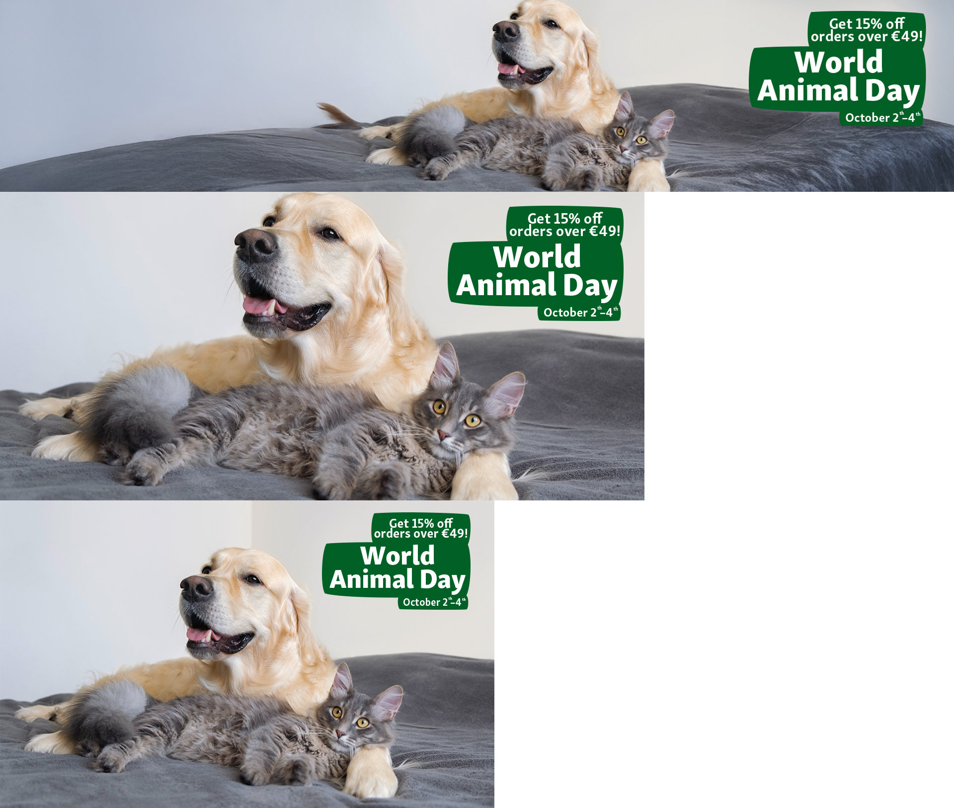 World Animal Day