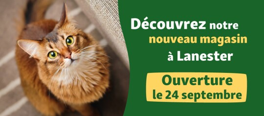 bannière annonçant l'ouverture du magasin de Lanester le 24 septembre