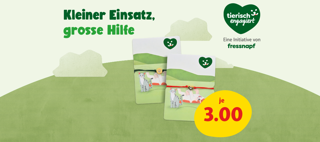 fnchde_kompetenz_10-25_onsite_promo-banner_1076x480-68dbde12352b4