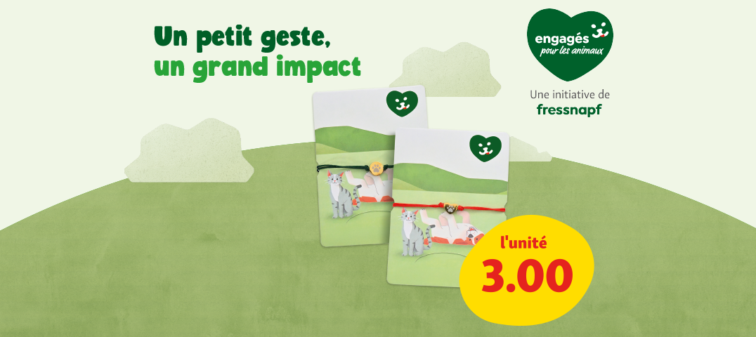 fnchfr_kompetenz_10-25_onsite_promo-banner_1076x480-68dbe91f19782
