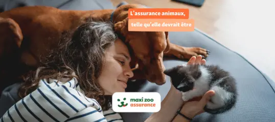 bannière assurance pour chat et chien Maxi Zoo Assurnace