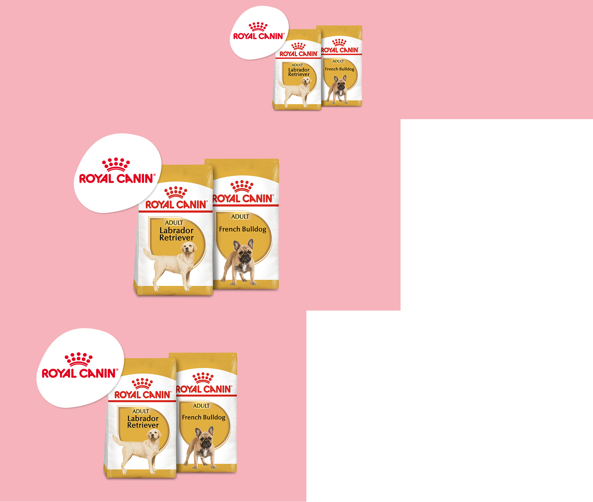 BE_Royal Canin_WKZ_KW41_Onsite PLP Teaser 1920 x 1626