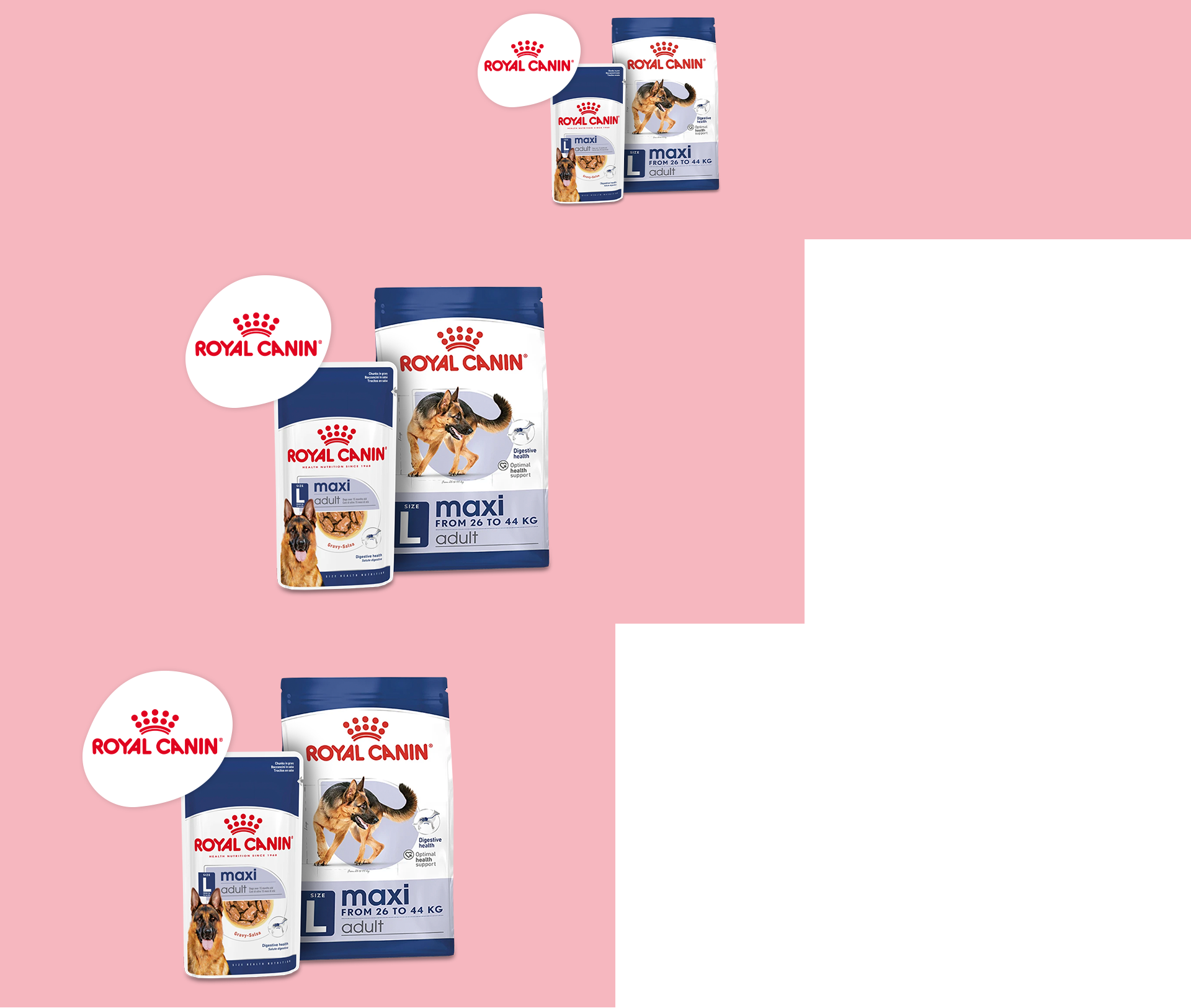 BE_Royal Canin_WKZ_KW44_Onsite PLP Teaser 1920 x 1626