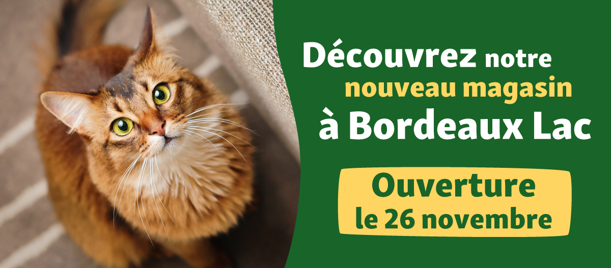bannière présentant l'ouverture du magasin de bordeaux Lac Maxi Zoo France le 26 novembre 2025