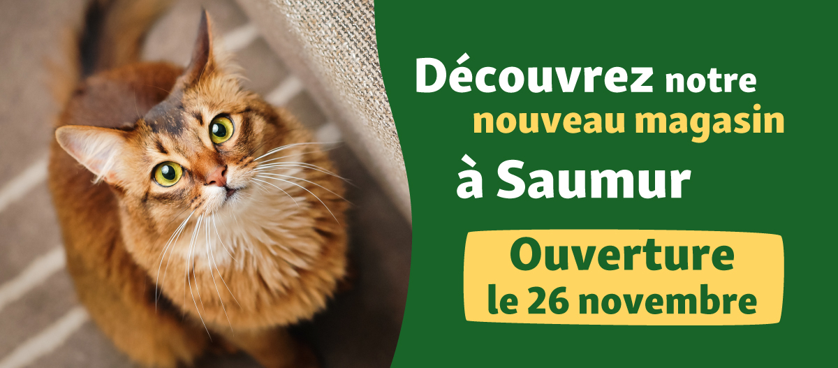 bannière présentant l'ouverture du magasin de Saumur Maxi Zoo France le 26 novembre 2025