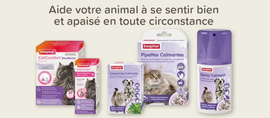 Beaphar_CatComfort & No stress