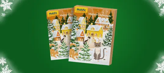 Calendriers de l'avent