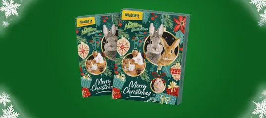 Calendriers de l'avent rongeurs